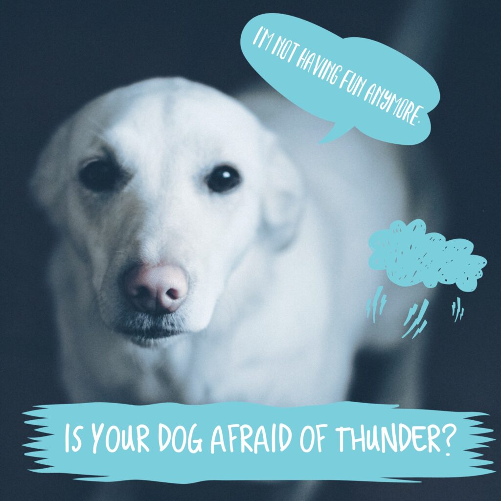 afraid thunder vetco blog