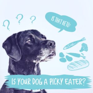 picky eater vetco blog