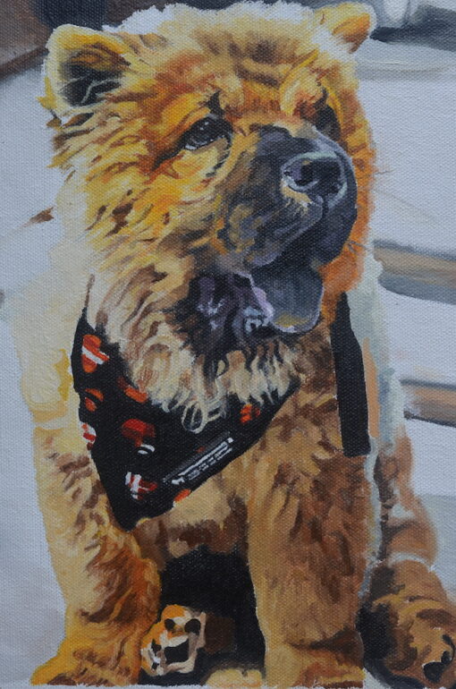 High Quality Customised Pet Portraits, 100% Hand Painted