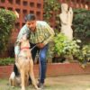 Up to 15% Off at Home Dog Training, New Delhi