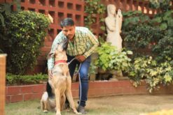 Up to 15% Off at Home Dog Training, New Delhi
