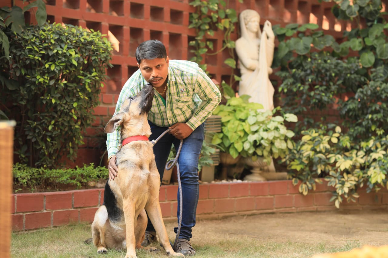 Buy Up to 15% Off at Home Dog Training, New Delhi - Same-Day Shipping -  Vetco Store
