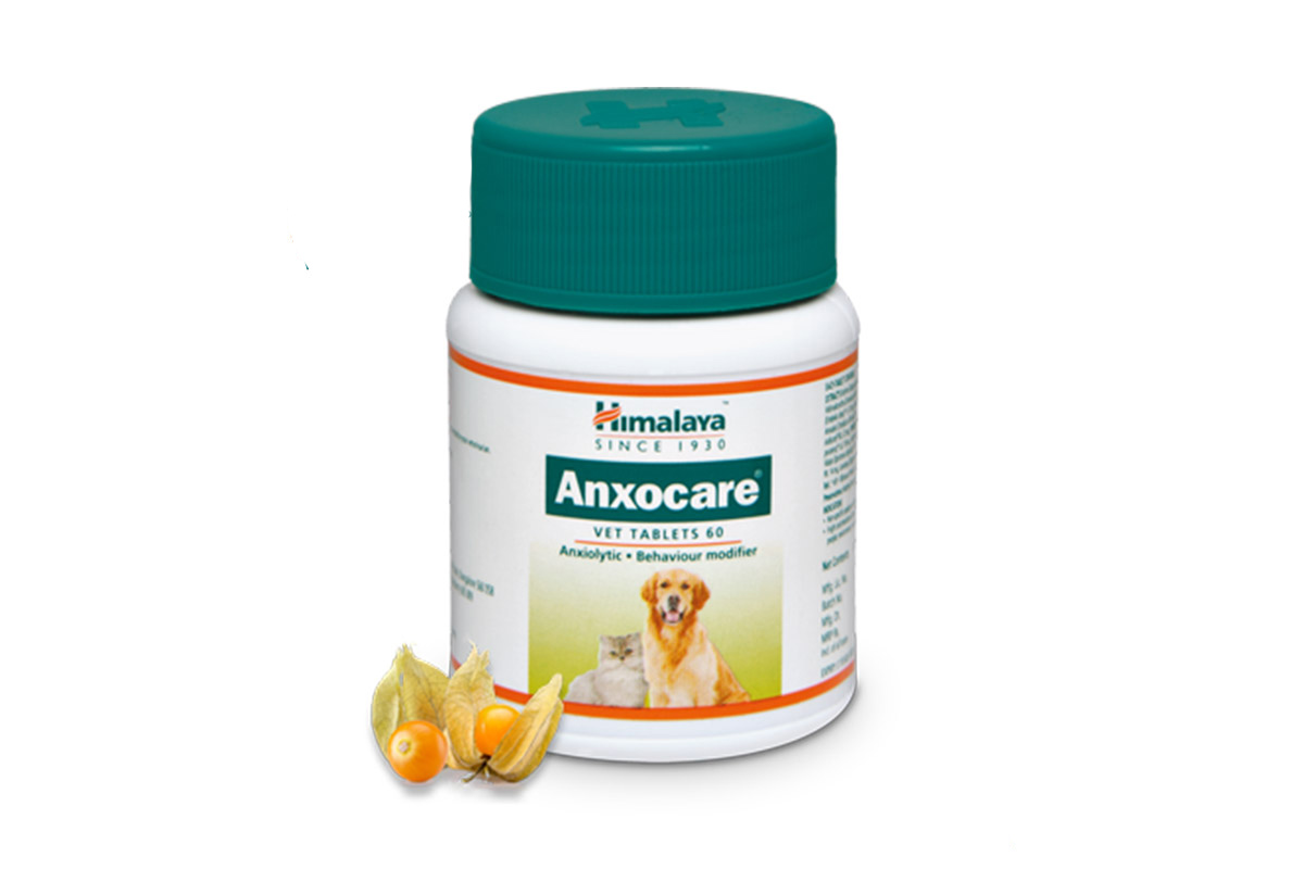 Himalaya Anxocare Tablets for Dogs - Himalaya Anxocare Anti Anxiety Tablets,  60 tabs (Pack of 2)