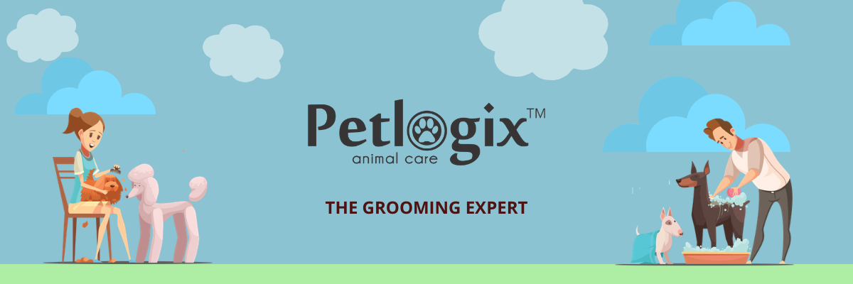 Pet Grooming on Wheels Petlogix At Home Van Grooming