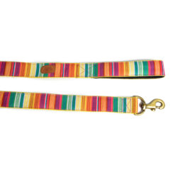 Pet Wale Colourful Stripes Leash with Padded Handle