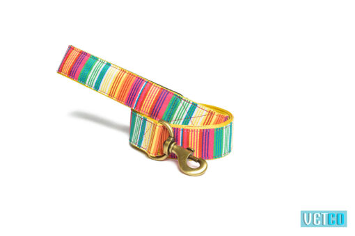 PetWale Colourful Stripes Car Seat Belt