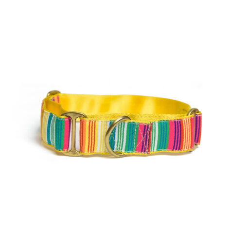 PetWale Colourful Stripes Car Seat Belt
