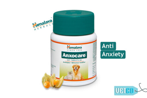 Himalaya Anxocare Anti Anxiety Tablets, 60 tabs (Pack of 2)