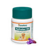 Himalaya Nefrotech DS Vet - Antilithic, Diuretic and Urinary Antiseptic Tabs