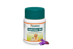 Himalaya Nefrotech DS Vet - Antilithic, Diuretic and Urinary Antiseptic Tabs (Pack of 2)