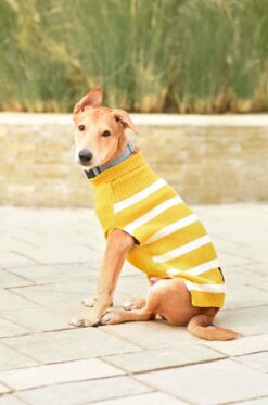 Mutt Ofcourse Mustard & White Dog Sweater