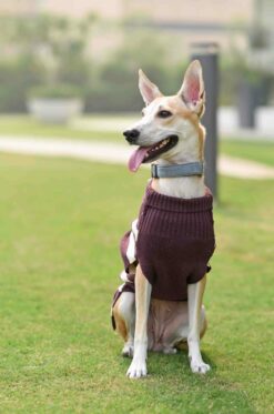 Mutt Ofcourse Purple & White Dog Sweater