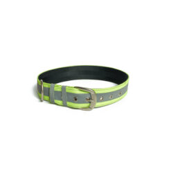 Pet Wale Reflective Green Belt Collar Dog Collar