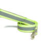Pet Wale Reflective Green Dog Leash with Padded Handle