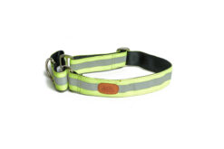 PetWale Reflective Green Martingale Dog Collar