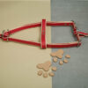 We Exist Candy Apple Red Vegan Leather Harness