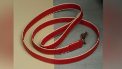We Exist Candy Apple Red Vegan Leather Leash