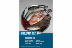 Orijen Six Fish Dry Dog Food (All Breeds & Life Stages)