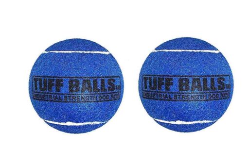 Petsport Tuff Ball Dog Toy 2 Pack -  Blue