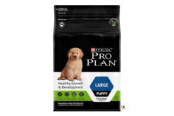 Purina Pro Plan Puppy Dry Dog Food (Large Breeds)