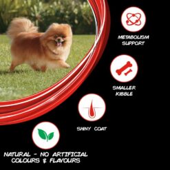Purina Supercoat Adult Dry Dog Food (Small Breeds)