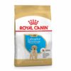 Royal Canin Labrador Retriever Puppy Dry Dog Food-1