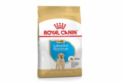 Royal Canin Labrador Retriever Puppy Dry Dog Food-1