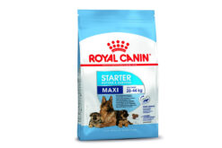 Royal Canin Maxi Starter Mother & Babydog Dry Dog Food (Large Breeds)