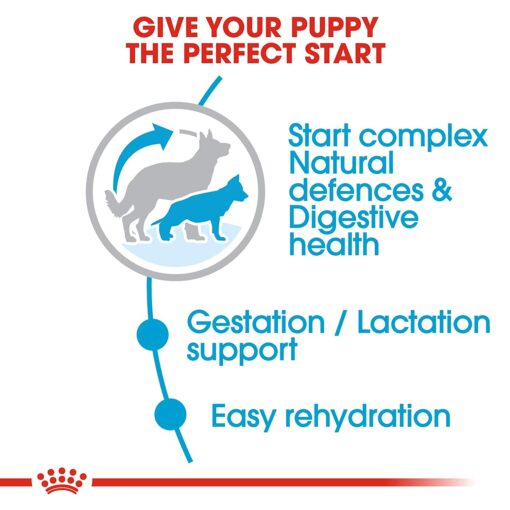 Royal Canin Maxi Starter Mother & Babydog Dry Dog Food (Large Breeds)