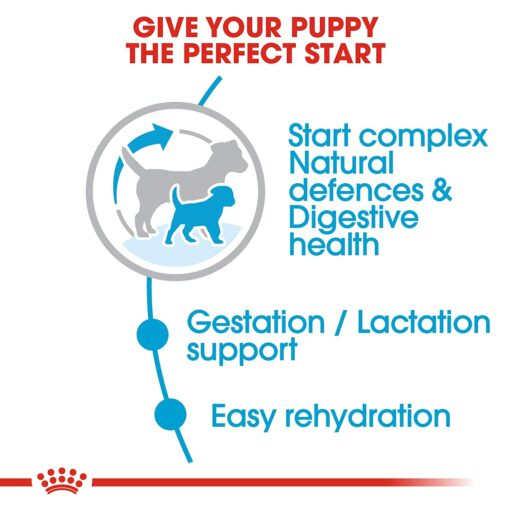 Royal Canin Mini Starter & Babydog Dry Dog Food (Small Breeds)