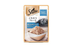 Sheba Wet Cat Food Maguro & Bream, 35 gms