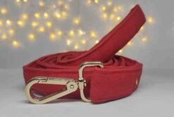 Mutt Ofcourse Water & Dirt Resistant Strawberry Dog Leash