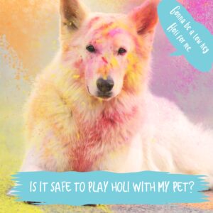 Is It Safe to Play Holi with My Pet?