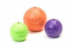 West Paw Zogoflex Echo Rando Dog Toy - Orange