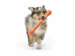 West Paw Zogoflex Echo Zwig Fetch Dog Toy