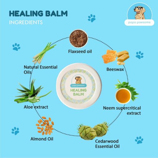 Papa Pawsome 100% Natural Healing Balm for Dogs, 10 gms