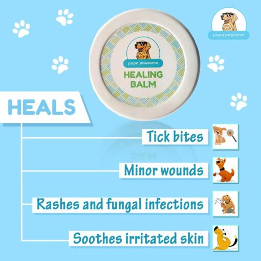 Papa Pawsome 100% Natural Healing Balm for Dogs, 10 gms
