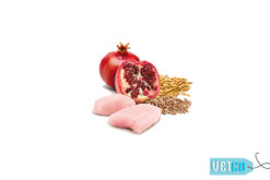 Farmina N&D Ancestral Grain Adult Wet Dog Food Chicken & Pomegranate (Small & Mini Breeds), 140 gms