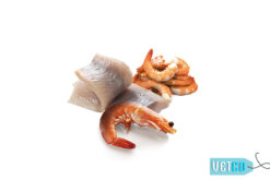 Farmina N&D Ocean Adult Wet Dog Food Herring & Shrimp (Small & Mini