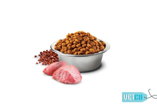 Farmina N&D Quinoa Digestion Grain Free Lamb Adult Dog Food (All Breeds)