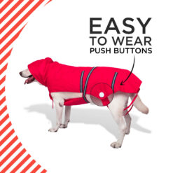 PetWale Reflective Dog Raincoat - Red