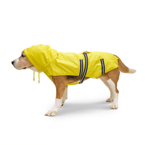 PetWale Reflective Dog Raincoat - Black
