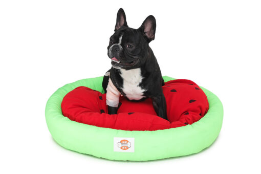 Barks & Wags Watermelon Dog & Cat Bolster Bed