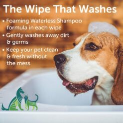 Nootie Cucumber Melon Waterless Shampoo Dog & Cat Wipes, 70 count