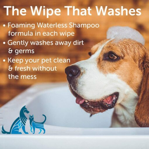 Nootie Sweet Pea & Vanilla Waterless Shampoo Dog & Cat Wipes, 70 count