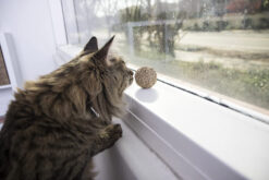 SmartyKat Catnip Kiss Compressed Catnip Ball Cat Toy 1