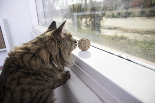 SmartyKat Catnip Kiss Compressed Catnip Ball Cat Toy