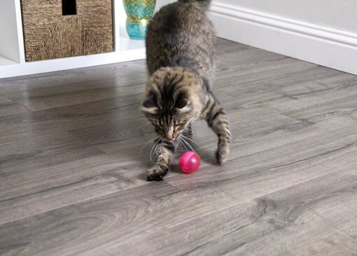 SmartyKat Flicker Ball Electronic Light Cat Toy