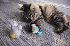 SmartyKat Mouse Mates Catnip Cat Toy
