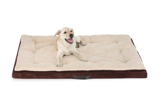 Barks & Wags Brown & Cream Lounger Dog & Cat Bed